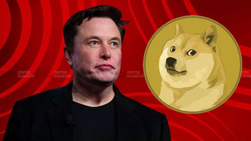 Elon Musk Doge Dogecoin