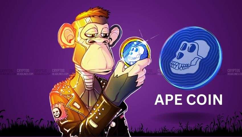 ApeCoin Ape Coin