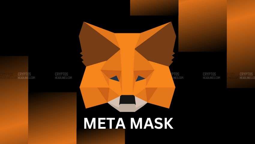 MetaMask Meta Mask