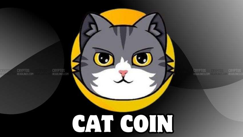 Catcoin Cat Coin